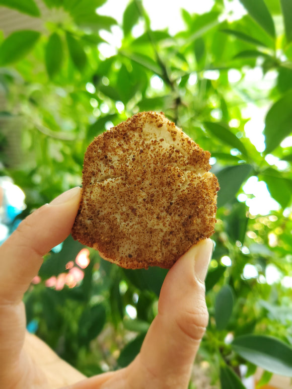 Snickerdoodle Cookie