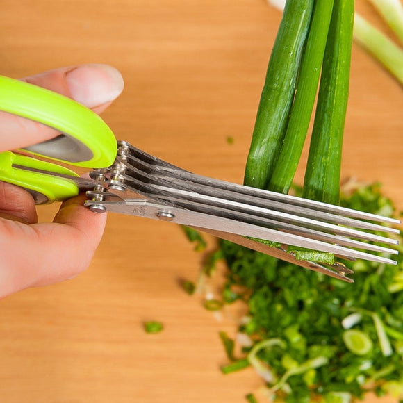 Herb Scissors - Vegetable Scissors 5 Blades