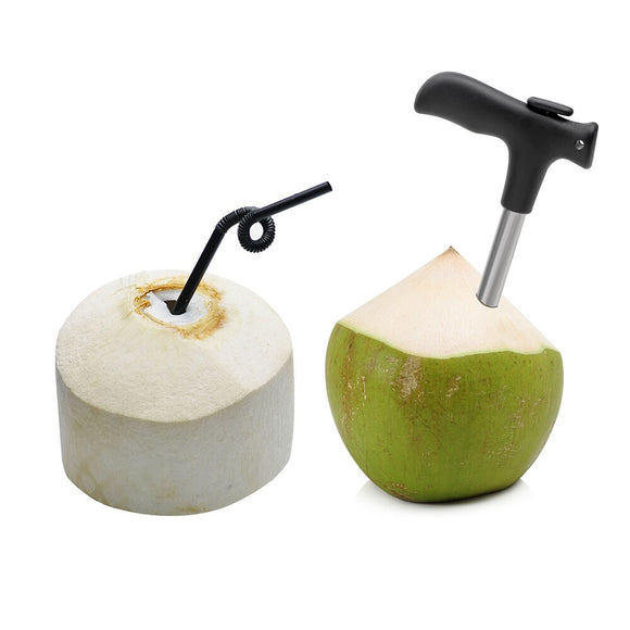 Coconut Opener - Stainless Steel